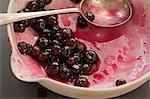 Blueberries in Bowl