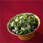 Gemischter frischer Salat mit Radieschen