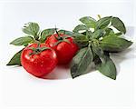 Tomatoes and fresh basil