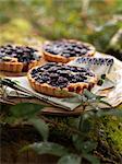 Bilberry tartlets