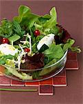 Mixed salad with mozzarella