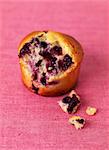 Bilberry muffin