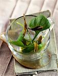 Salad and tea leaves