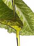 Olive oil dropping on a lettuce leaf