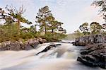 Scots Pine et rapides à l'aube, rivière Affric, Glen Affric, Cannich, région montagneuse de Conseil, Scottish Highlands, Ecosse