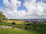 Abbeyknockmoy, sur le Site de l'abbaye cistercienne de Knockmoy, Co. Galway, Irlande