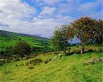 Glenelly Valley, Sperrin Mountains, Co Tyrone, Ireland