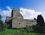 Abbaye de Jerpoint, Co Kilkenny, Irlande ; Abbaye du XIIe siècle