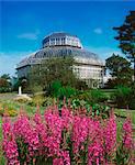 Palm House, Irish National Botanic Gardens, Co Dublin, Ireland