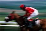 Horse Racing, Punchestown National Hunt, Co Kildare, Irlande