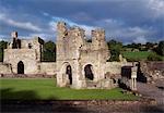 Abbaye de Mellifont, Louth, Irlande ; Abbaye du XIIe siècle