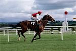 Naas, Co Kildare, Ireland; Horse Racing