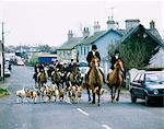 Co Wicklow, Ireland, The Bray Harriers