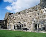 Celtic Archaeology, Long Augustinian Abbey, Kong Co Mayo,