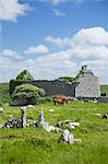 Ruines de l'église de Carron, Carran, comté de Clare, Irlande