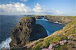 Mer falaises, Loop Head, comté de Clare, Irlande