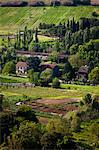 Ferme près d'Orvieto, en Ombrie, Italie