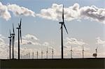 Wind Farm, La Mancha, Albacete, Castilla-La Mancha, Spain