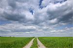 Gravel Road Through Field, Bischbrunn, Spessart, Main-Spessart, Bavaria, Germany