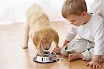 Little Boy Watching Goldendoodle Puppy Play With Water Dish