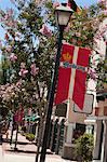 Rue bordée d'arbres, Solvang, Santa Barbara County, Californie, Etats-Unis