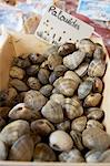 Clams at Market, St Tropez, Var, Provence, Provence-Alpes-Cote d'Azur, France