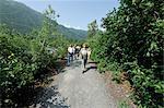 Female Forest Service guide leading hikers on a trail to Spencer Glacier as part of the Alaska Railroad's Spencer Whistle Stop Camping tour, Southcentral Alaska, Summer