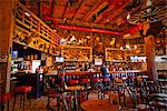 Tourist sits at the bar of the Red Dog Saloon in Juneau, Southeast Alaska, Summer