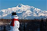 Snowman red scarf and black top hat sitting on a hillside with Mount McKinley in the background, Denali State Park, Southcentral Alaska, Winter