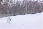 Snowman wearing a scarf and black top hat standing in a snow covered birch forest, Russian Jack Springs Park, Anchorage, Southcentral Alaska, Winter