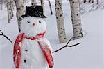 Close up of snowman wearing a scarf and black top hat standing in a snow covered birch forest, Russian Jack Springs Park, Anchorage, Southcentral Alaska, Winter