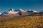 Luftbild der Häuser am Hang mit der Chugach Mountains im Hintergrund bei Sturz in South Central Alaska Anchorage