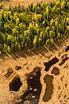 Aerial view of wetlands  across Cook Inlet from Anchorage near the Tordrillo Mountains, Southcentral Alaska, Fall