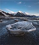 Banquise échouée à marée basse sur le Turnagain Arm avec alpenglow sur les montagnes Chugach à l'arrière-plan, le centre-sud de l'Alaska, hiver