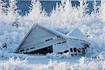 Hoarfrosted Büschen und Bäumen umgeben, ein Erdbeben zerstörte Gebäude befindet sich neben der Seward Highway auf der Meile 80,2, South Central Alaska, Winter