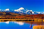 View of a man backpacking in Peters Hills with Mt. McKinley in the background, Denali State Park, Southcentral Alaska, Fall/n