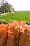 Full bags of trash outdoors, result of cleanup effort