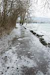 Ice-covered path along water's edge