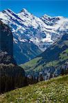 Bergblick in der Jungfrau Region, Berner Alpen, Schweiz
