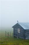 Rustic House in Mist