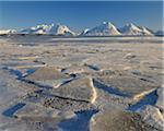 Winter Scene, Lyngen Alps, Breivikeidet, Troms, Norway