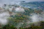 Bedeckt Landschaft, Lapale, Sumba, Indonesien