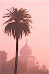 La silhouette brumeuse au lever du soleil de la Dam Gurdwar Dama Sahib, un temple Sikh à partir de Humayun jardin de, Delhi, Inde, Asie