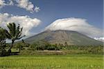 Mayon volcanic cone, Legazpi, Bicol, Luzon, Philippines, Southeast Asia, Asia