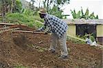 Agriculteur prépare son champ, Kenscoff montagnes au-dessus de Port-au-Prince, Haïti, Antilles, Caraïbes, Amérique centrale