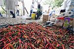 Piments utilisés pour la cuisson, la distribution alimentaire avec United Sikhs après le séisme de janvier 2010, Port au Prince (Haïti), Antilles, Caraïbes, Amérique centrale