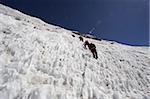 Climbers on an ice wall, Island Peak 6189m, Solu Khumbu Everest Region, Sagarmatha National Park, Himalayas, Nepal, Asia