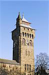 Cardiff Castle, Cardiff, Wales, United Kingdom, Europe