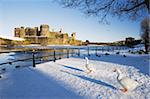 Canards marche dans la neige, Caerphilly Castle, Caerphilly, Gwent, pays de Galles, Royaume-Uni, Europe