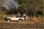 Roan antelope and safari vehicle, Busanga Plains, Kafue National Park, Zambia, Africa